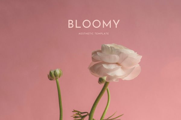 graphic for free- Bloomy Aesthetic Instagram Template
