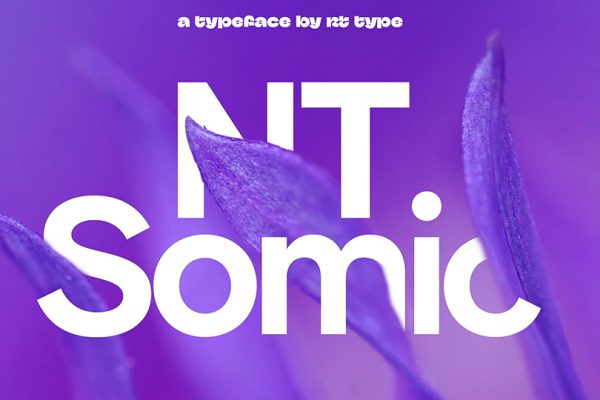 graphic for free - NT Somic Font