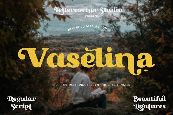 graphic for free - Vaselina Bold Display Font