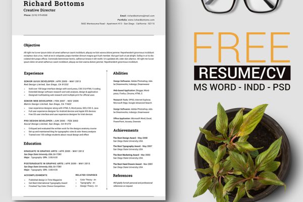 graphic for free - Timeless Resume Template Free