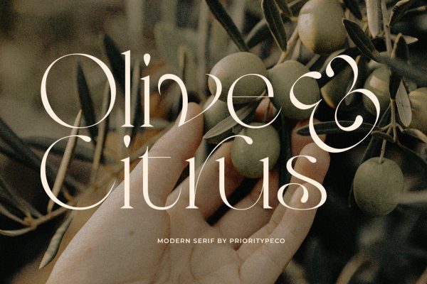 graphic for free -Olive And Citrus Font