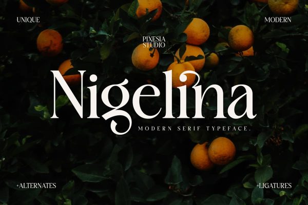 graphic for free - Nigelina Display Font